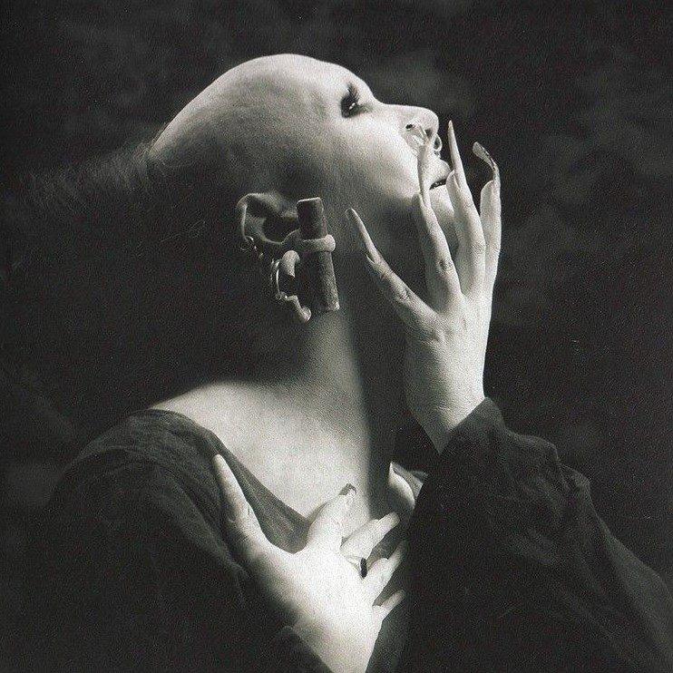 Фото профиля 𝒍𝒊𝒕𝒕𝒍𝒆 𝒗𝒆𝒍𝒗𝒆𝒕𝒆𝒆𝒏 𝒌𝒏𝒊𝒈𝒉𝒕 