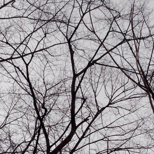 Фото профиля EndoFar