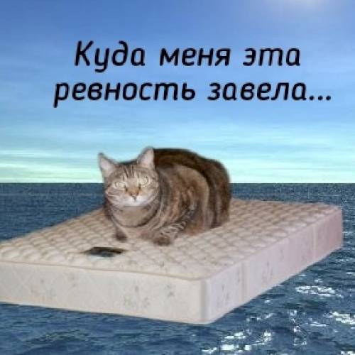 Фото профиля Матильда Деревцева