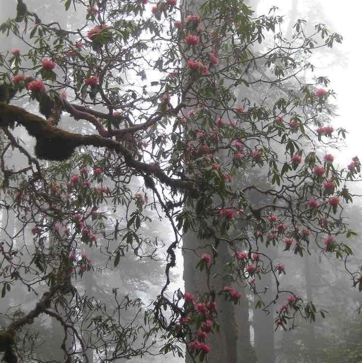 Фото профиля Краснов Андрей Сергеевич