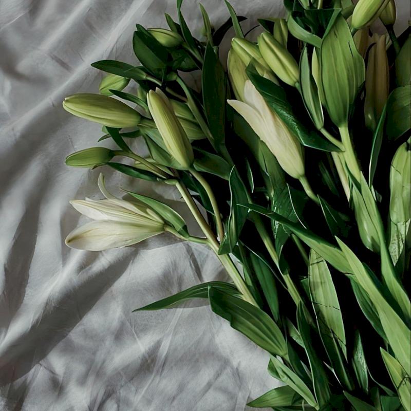 Фото профиля smotriVglaza