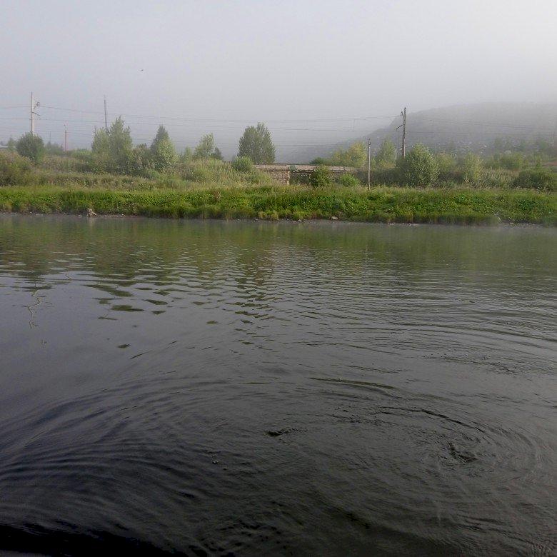 Фото профиля Катарсис