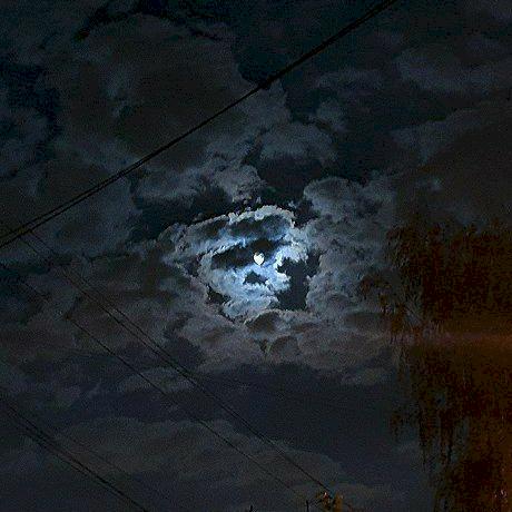 Фото профиля Максим Римлянин