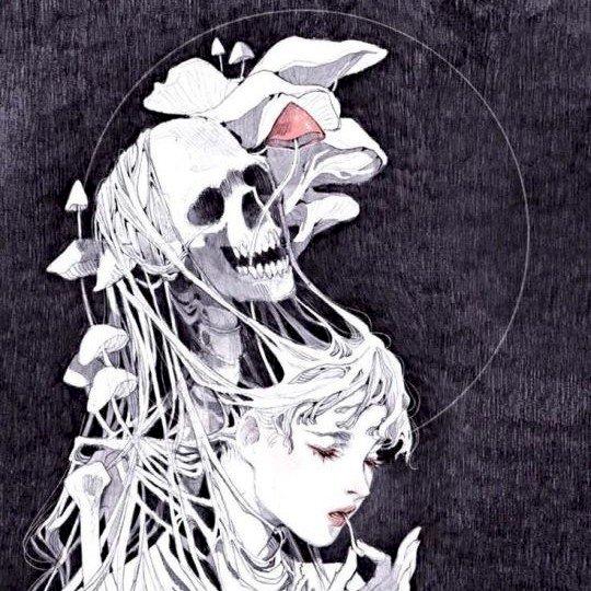 Фото профиля Araneae