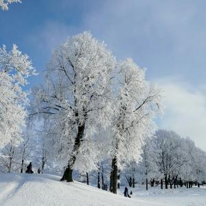 Фото профиля ilovepeterhof