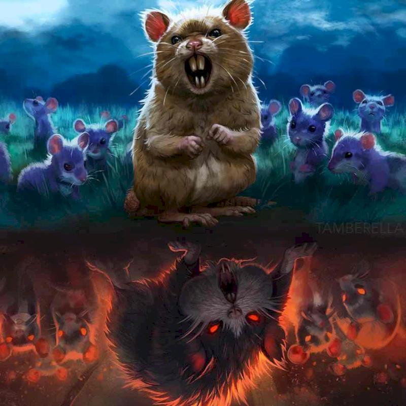 Фото профиля Сергей Плигин