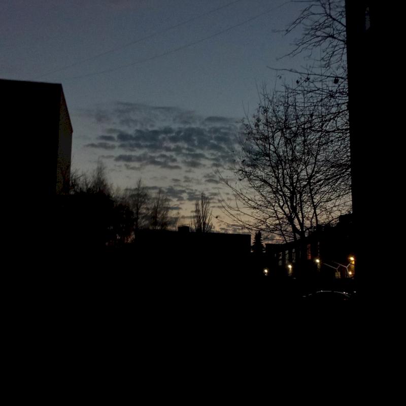 Фото профиля грассвер