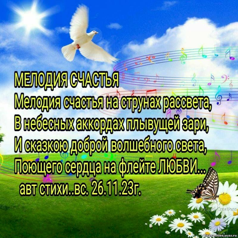 Фото профиля Василий  17051961 