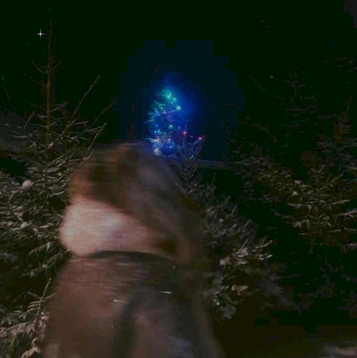 Фото профиля Софья Романова