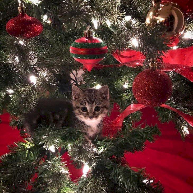 Фото профиля Маленький человек 