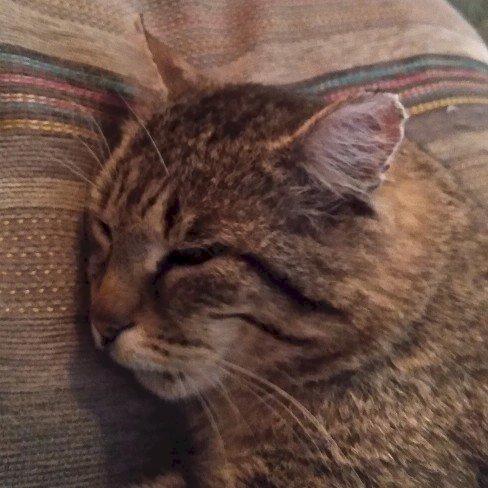 Фото профиля Kindly890