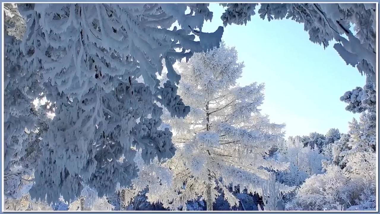 Песня снег пушинками кружится. Рассыпает зима серебро. Белый снег и синяя река.