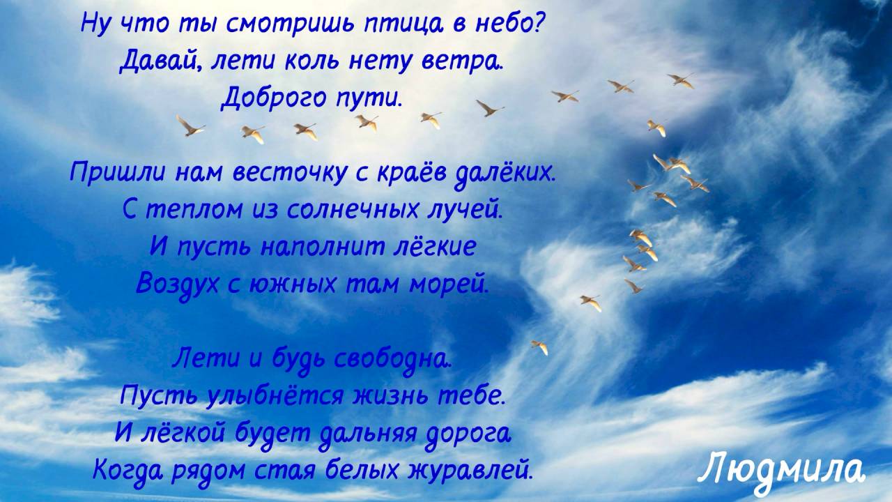 Давай лети. Птицей в чистом небе коль летать не дано. Польский стих душа в небесах. Друзей дают на небесах.