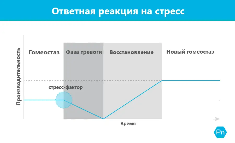 Процесс адаптации организма к тренировкам