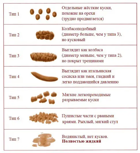 Bristol stool scale