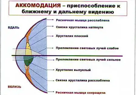 Открытый прицел на оружии