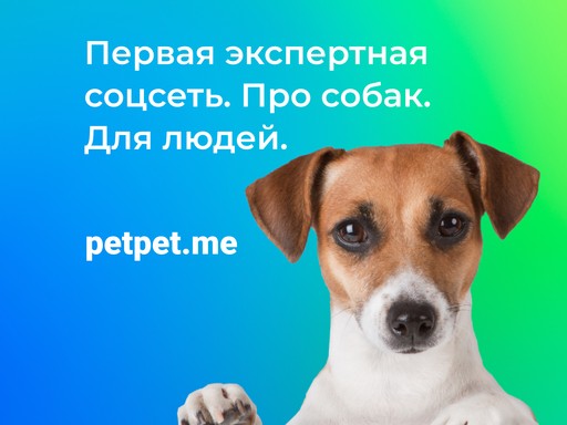 Экспертная социальная сеть про собак Petpet.me