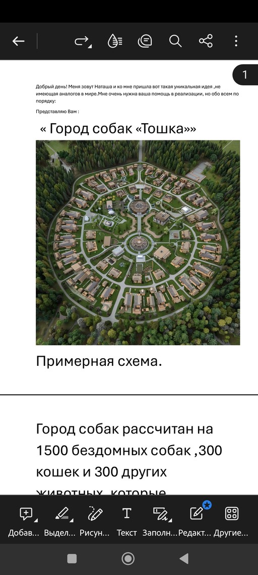 Город собак 🦴🦴 Тошка🦴🦴