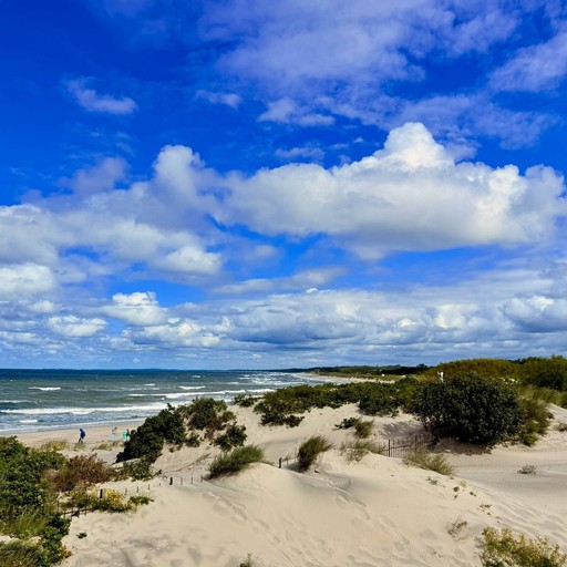 Мини-отель.