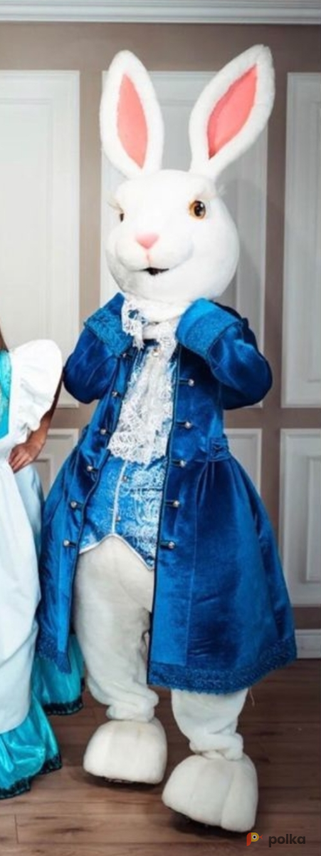 Возьмите Ростовая кукла Кролик напрокат (Фото 2) в Москве
