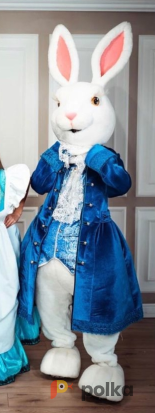 Возьмите Ростовая кукла Кролик напрокат (Фото 1) в Москве