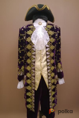 Возьмите Мужской исторический костюм барокко (Фиолетовый с золотым и серебряным напылением) напрокат (Фото 1) в Санкт-Петербурге