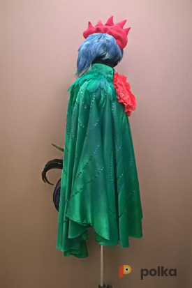 Возьмите Карнавальный костюм Петух напрокат (Фото 1) в Санкт-Петербурге