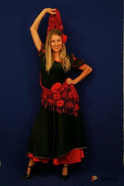 Возьмите Испанка (Тёмно-красное платье) напрокат (Фото 2) в Санкт-Петербурге