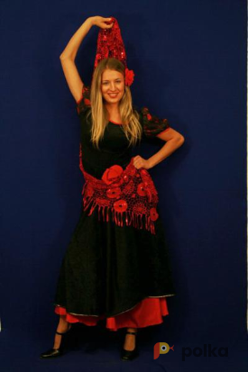 Возьмите Испанка (Тёмно-красное платье) напрокат (Фото 1) в Санкт-Петербурге