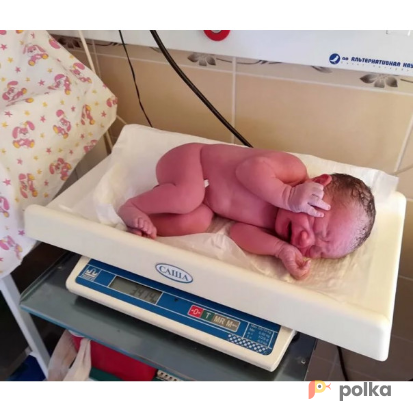 Возьмите МЕДИЦИНСКИЕ ВЕСЫ САША напрокат (Фото 3) В Ростове-на-Дону