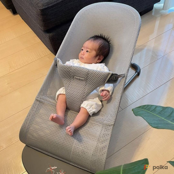 Возьмите ШЕЗЛОНГ-СЕТКА С ДУГОЙ BABYBJORN напрокат (Фото 2) В Ростове-на-Дону