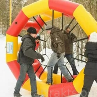 Беличье колесо