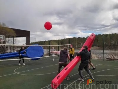 Возьмите Ракетки игровые гигантские напрокат (Фото 2) В Екатеринбурге