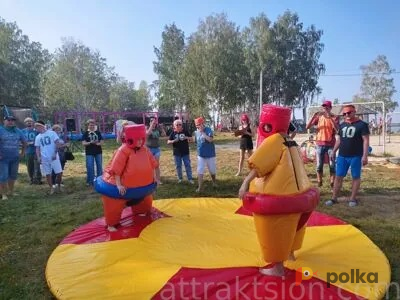 Возьмите Сумо напрокат (Фото 2) В Екатеринбурге