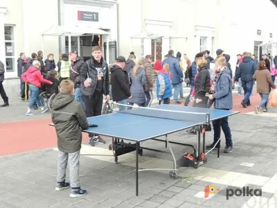 Возьмите Теннисный стол напрокат (Фото 2) В Екатеринбурге