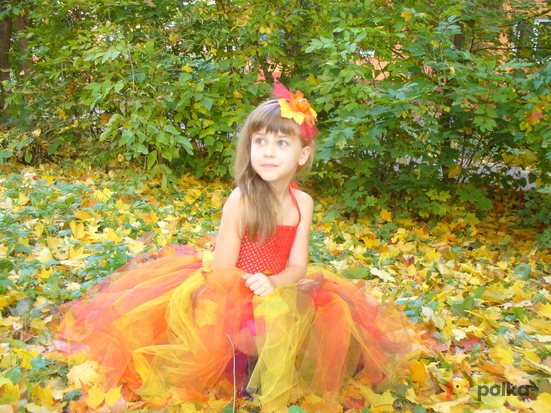 Возьмите Карнавальный костюм "Осень" напрокат (Фото 1) в Москве