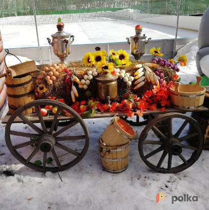 Возьмите Телега Пит стоп напрокат (Фото 1) в Москве