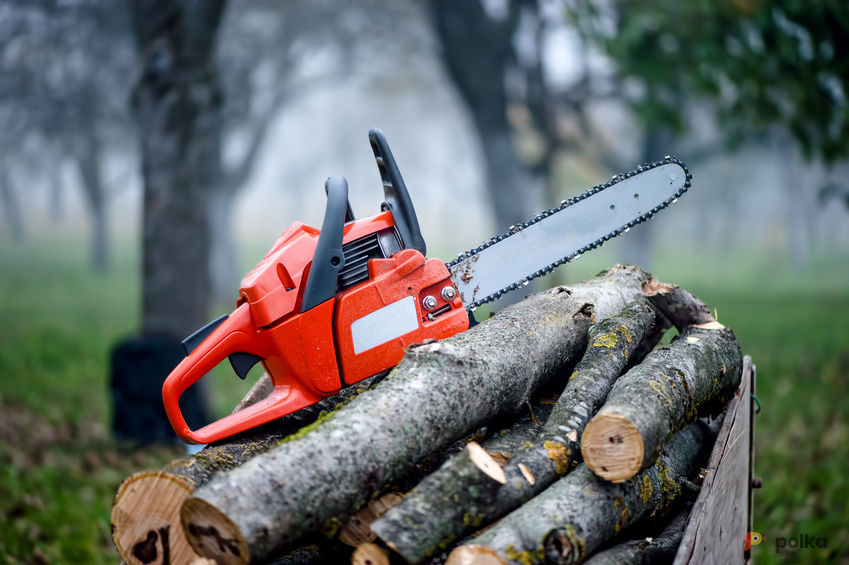 Возьмите Бензопила STIHL MS 250 напрокат (Фото 2) В Сочи
