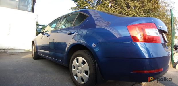 Возьмите Skoda Octavia напрокат (Фото 2) в Санкт-Петербурге