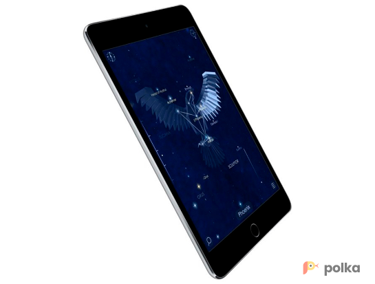 Возьмите Планшет Apple iPad Mini4 7.9″ напрокат (Фото 2) в Санкт-Петербурге