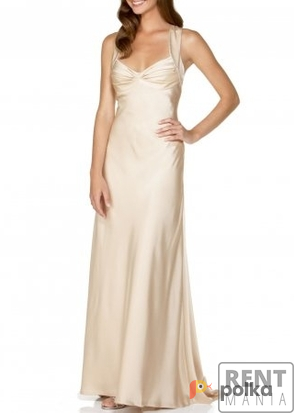 Возьмите Платье Calvin Klein Shampagne Long Formal Dress напрокат (Фото 1) в Москве