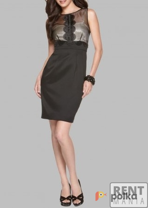 Возьмите Платье Max & Cleo Black Trim Dress напрокат (Фото 3) в Москве