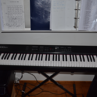 Цифровое пианино RD300-sx