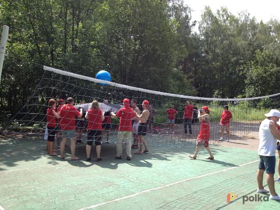 Возьмите Командный волейбол напрокат (Фото 1) в Москве