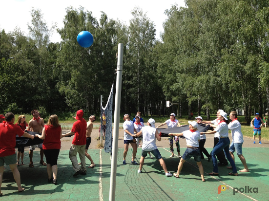 Возьмите Командный волейбол напрокат (Фото 4) в Москве