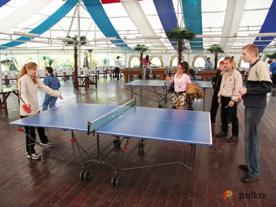 Возьмите Настольный теннис напрокат (Фото 1) в Москве