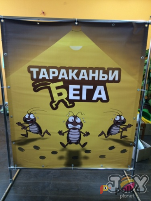 Возьмите Тараканьи бега. В комплекте стол, баннер, стенд для забегов и сами тараканы напрокат (Фото 1) в Москве