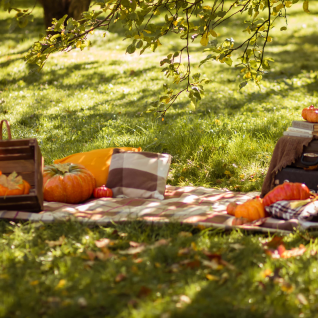 Осенний декор с тыквами на фотосессию