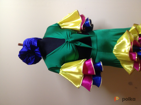 Возьмите платье Латина Бразильский костюм для карнавала напрокат (Фото 4) в Москве