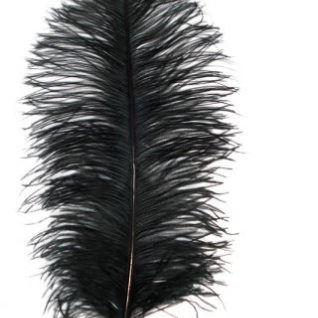 Перо Страуса  УPAPAYA JAM Ostrich Feather Black